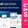 Leadinjection - Landing Page Theme